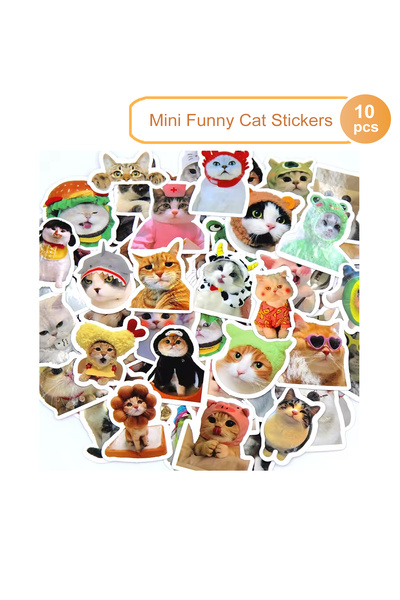 Choice 10 قطع عشوائية من ملصقات القطط المضحكة، ملصقات كرتونية لطيفة، قرطاسية، جيتار، هاتف، دراجة، كمبيوتر محمول