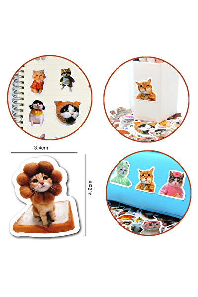 Choice 10 قطع عشوائية من ملصقات القطط المضحكة، ملصقات كرتونية لطيفة، قرطاسية، جيتار، هاتف، دراجة، كمبيوتر محمول