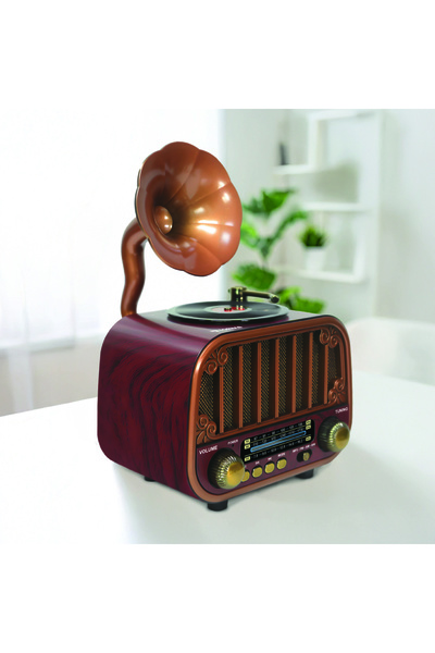 Torima D76 Dark Wood Wireless Speaker