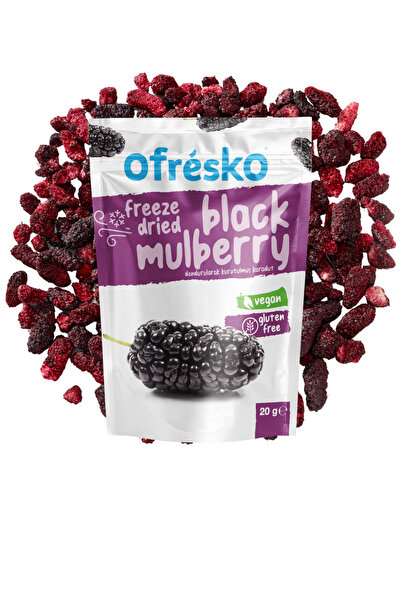 Ofrésko Karadut Kuru Meyve Cipsi 20 gr – Dondurularak Kurutulmuş Sağlıklı Atıştırmalık