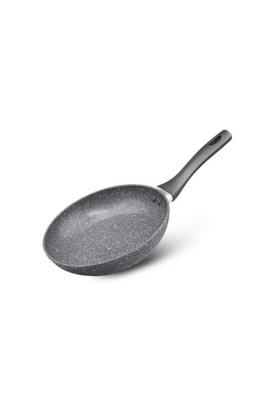 Carl Schmidt Sohn CS Emden frying pan, non-stick, aluminum, induction, 20 cm