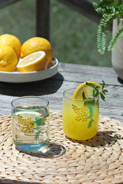 Rakle Mimoza 4'lü Su Bardağı Seti 280 cc