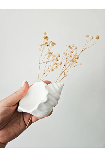 Ziani Seashell Trinket Dish