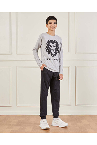 REDTAG Senior Boys Grey Graphic T-Shirt