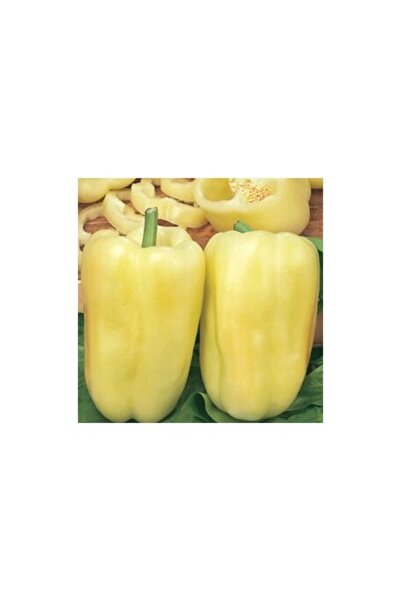 PROFIT SEEDS Seminte ardei gras ZLUTASEK F1 (1000 sem)