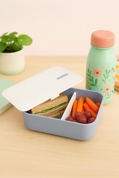 B&D Divided Food Container with Lid, Gray, 2 Compartments