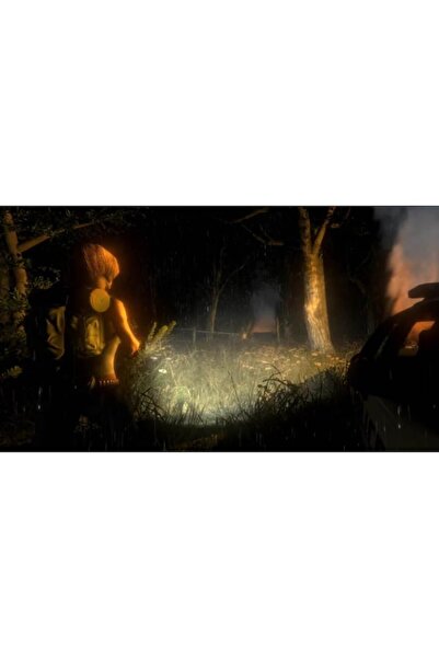 Grateful Dead Outbreak Collection Part 2 for NSW