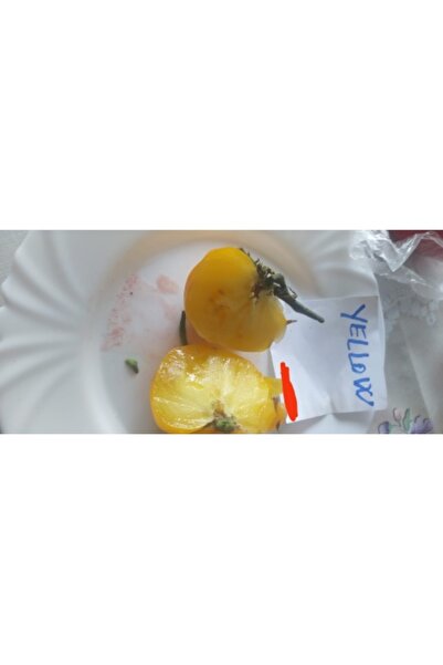 EUROSEME Seminte tomate YELLOW GAZZI (1000 sem)