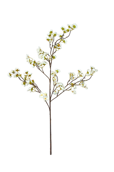 DALKIRAN Yapay Krem Sakura Bahardalı Çiçeği