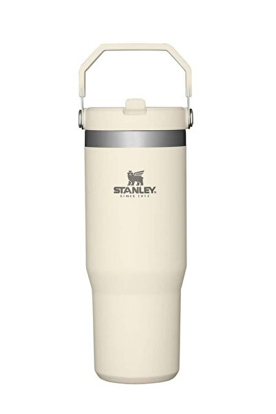 Generic Stanley IceFlow 30oz Stainless Steel Tumbler with Leak-Resistant Flip Straw - Vacuum Insulated Wate