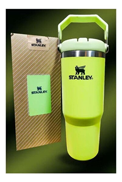 Generic Stanley Stanley 30oz Tumbler â€“ Stainless Steel Travel Mug with Reusable Straw | BPA-Free, Eco-Fri