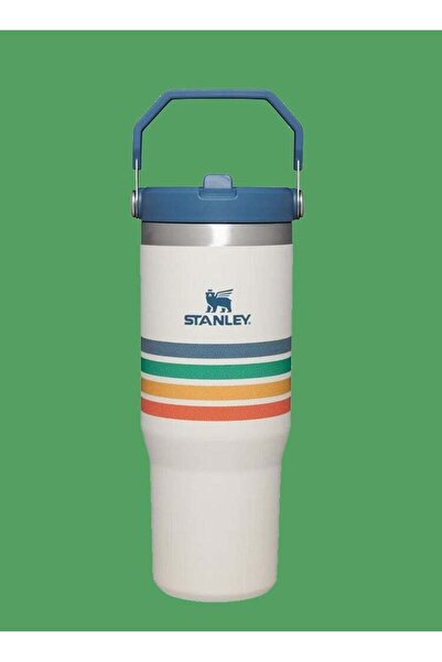 Generic Stanley IceFlow 30oz Stainless Steel Tumbler with Leak-Resistant Flip Straw â€“ Vacuum Insulated Wa