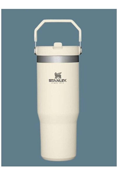 Generic Stanley IceFlow 30oz Stainless Steel Tumbler with Leak-Resistant Flip Straw - Vacuum Insulated Wate