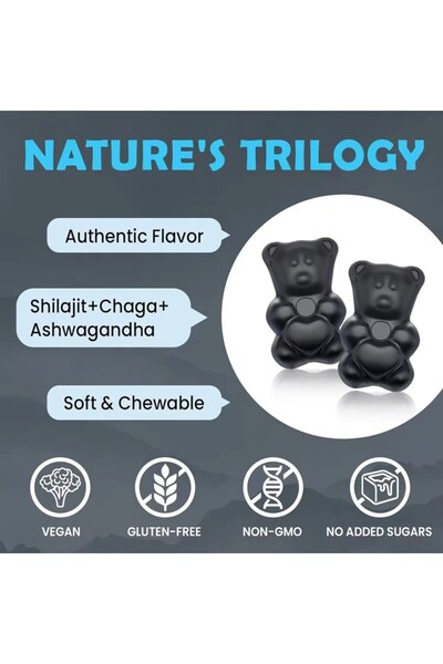 WELLBODY Shilajit Gold & Honey Supplement – Energy from the Himalayas for an active life