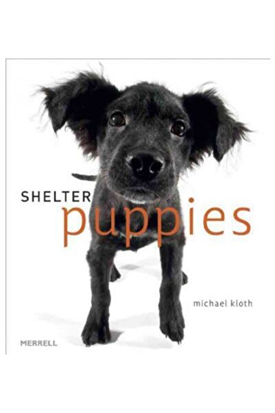 Merrell Shelter Puppies