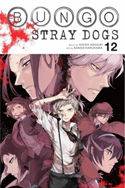 Yen Press Bungo Stray Dogs Vol. 12