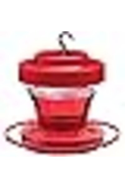 COOYA Hummingbird Feeder with Feeding Port Hanging,with Perch and Hook Detachable Antproof Feed