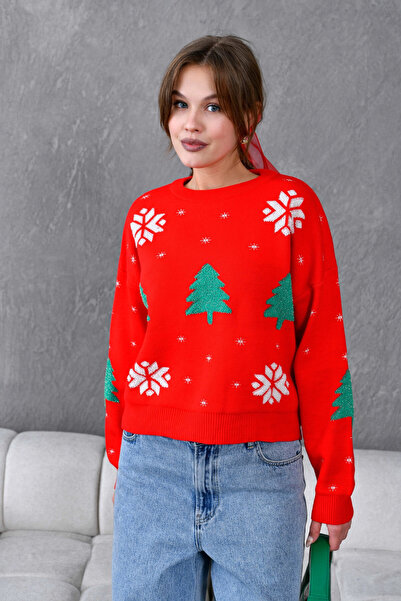 Park Karon Women's Crew Neck Patterned Glittery Loose Knit Sweater