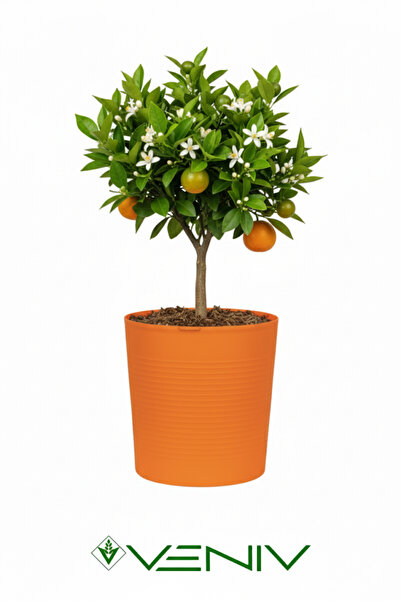 VENİV HOME Dekoratif Kırılmaz 9.8 L Saksı