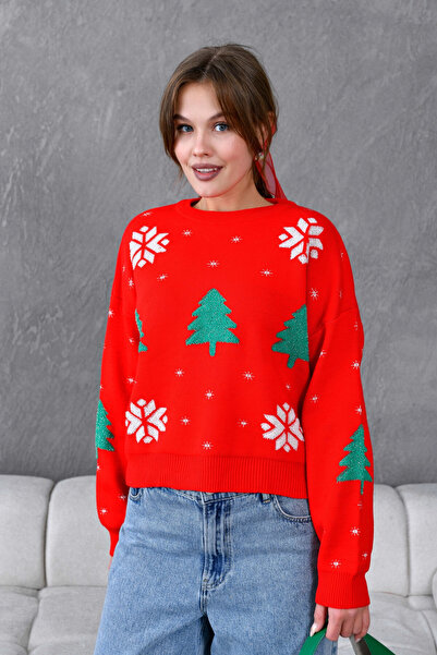 Park Karon Women's Crew Neck Patterned Glittery Loose Knit Sweater