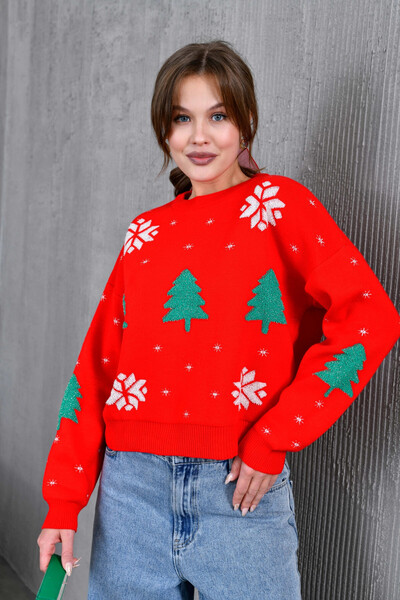 Park Karon Women's Crew Neck Patterned Glittery Loose Knit Sweater