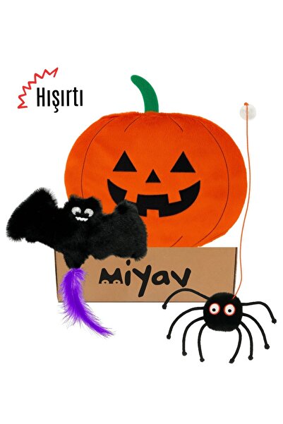 Miyav Cadılar Bayramı Temalı Kedi Oyuncak Seti | Hışırtılı Yarasa, Balkabağı ...