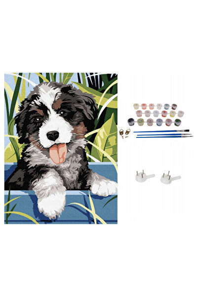 zola Number painting set for children and adults with watercolours, Zola, canvas 40×30cm, Happy puppy