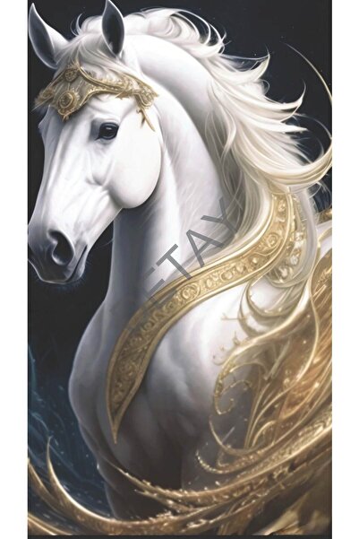 Detay Fotokopi Rölyef Kağıt Poster - Bursa Toptan - 300 Gr. Kuşe - Kağıt Ebat...