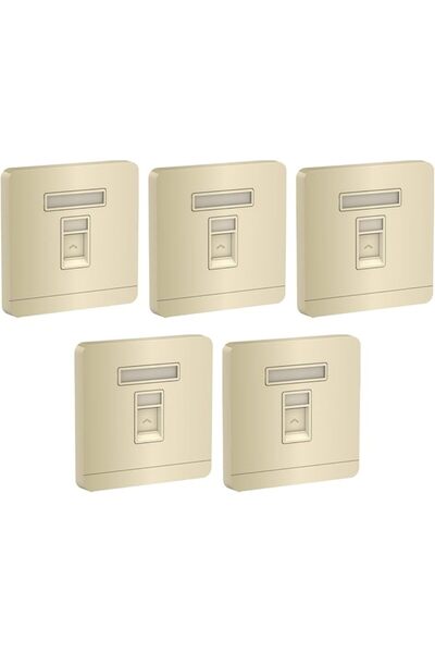 Raco Schneider AvatarOn 1 Gang Keystone Wall Plate Jack RJ45 E8331RJS Pack of 5 (Wine Gold)