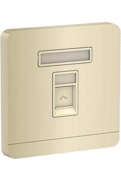 Raco مقبس حائطي من نوع Schneider AvatarOn 1 Gang Keystone RJ45 E8331RJS، عبوة من 5 قطع (لون ذهبي نبيذي)