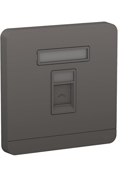 Raco مقبس حائطي من نوع Schneider AvatarOn 1 Gang Keystone RJ45 E8331RJS (عبوة من قطعتين، رمادي غامق)