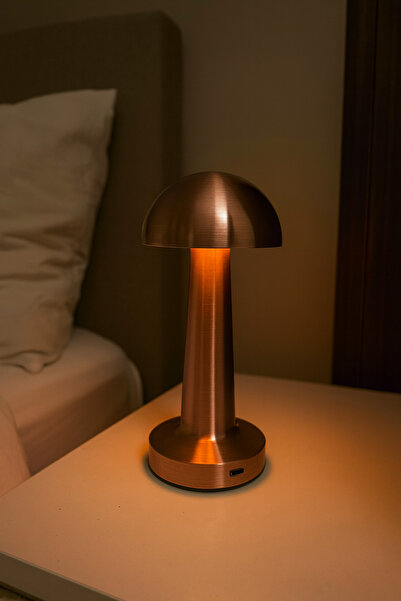 kialed Rose Gold Metal Gövdeli mantar LED Masa Lambası