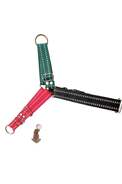 balkonda Köpek Göğüs Tasması Orta ve Büyük Irk Ayarlamalı Önden ve Sırttan Çekmeli Kolon Kordon