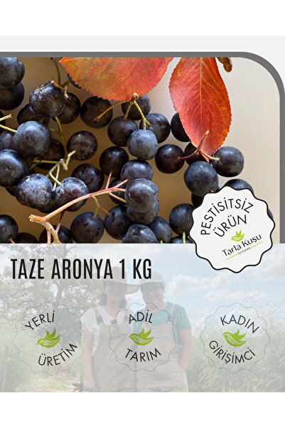 TARLA KUŞU TAZE ARONYA MEYVESİ 1 KG