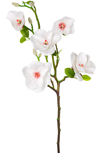 Herdekora Yapay Manolya Dalı, Beyaz - 75 cm