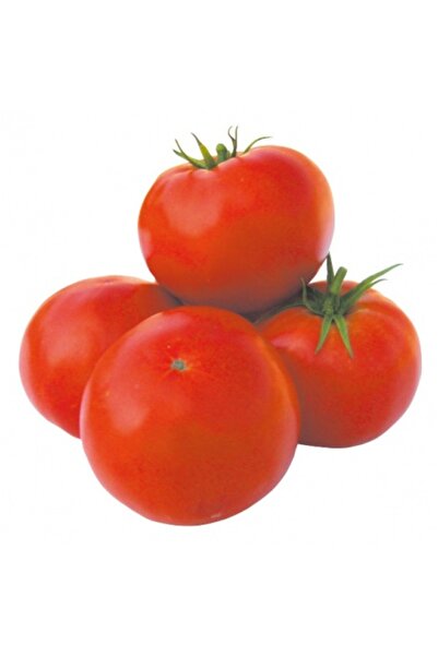 PROFIT SEEDS Seminte tomate SALOMONE F1 (250 sem)
