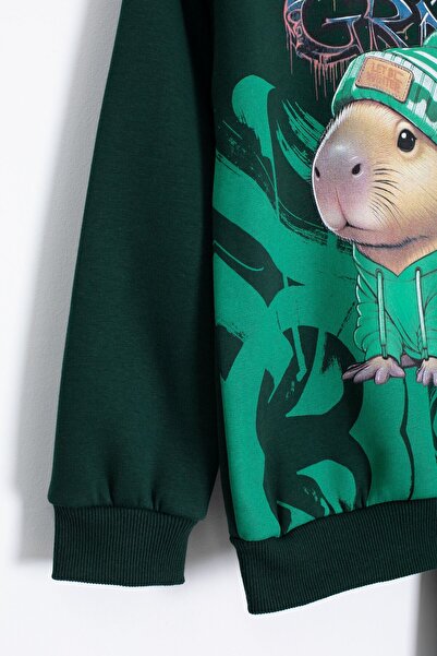 Cansın Mini Green Cool Mouse Printed Fleece-Lined Boy's Tracksuit Set 23293