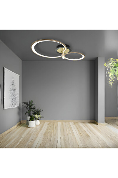 RFAN LED Chandelier, Model HX80001-2, With Remote Control, 3 Types of Light, ...