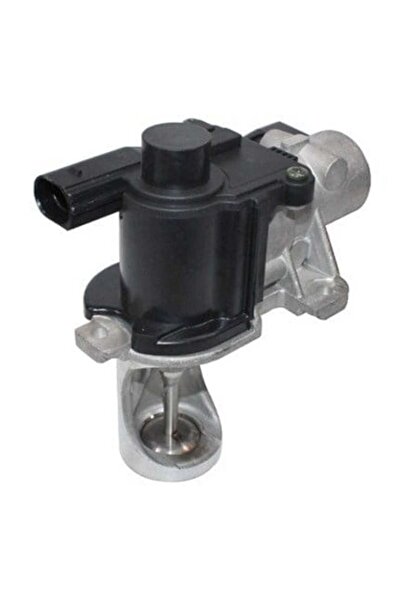 OEM Original VAG EGR valve, 038131501BH