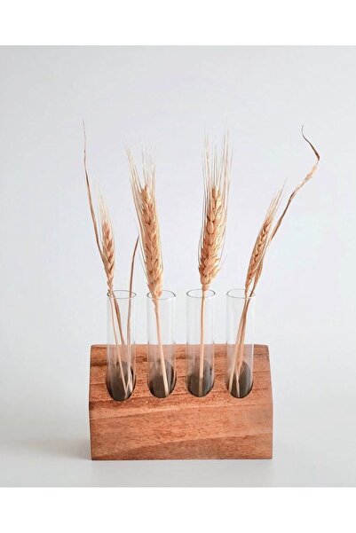 WOODY WOOD DESİGN Tube Series Decorative Vase, Glass Tube Vase, Wooden Tube Vase, Spice Rack, Plant Stand with Tube