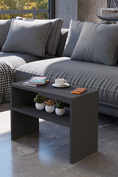 alpaevmobilya Modern Orta Sehpa – Çok Amaçlı Dikdörtgen Tasarım, Alt Raflı Sa...