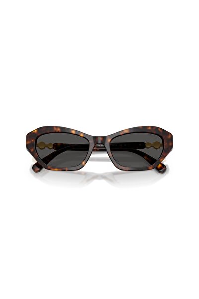 Swarovski Sunglasses Sk6048 54 100287