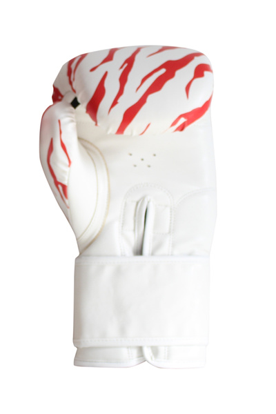 Wingriz One Series Boxing Kick Boxing Muay Thai Hybrid Gloves – Professional Training and Sparring