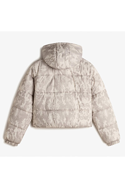 Vans Hillgate Aop Cropped Puffer Women's Gray Coat