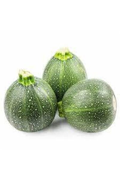 Tohumcumm 30 Adet Tohum Süper Paket Dolmalık Nadir Topak Kabak Tohumu Yuvarla...
