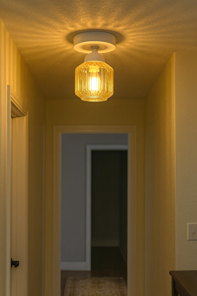 Uçar Eriksen Modern Tasarım Antre Hol Mutfak Çocuk Odası Plofonyer Tavana Sıfır Minimal Camlı Tekli Avize