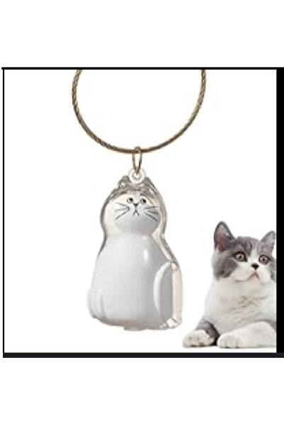 Yaratıcı sanatlar atölyesi Şeffaf Kedi Tüyü Saklama Kapsülü Gashapon Kedi Tüy...