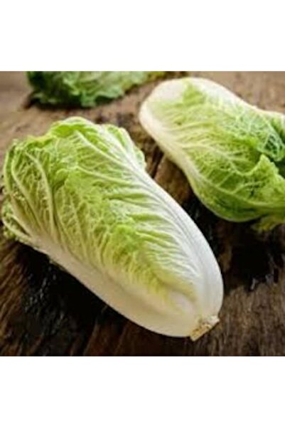 Tohumcumm 50 Adet Tohum Nadir Organik Hasat Yeşil Çin Marulu Marul Tohumu Kal...