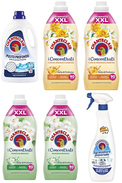 chante clair Set 6 Chanteclair Mixed: 1x deep cleaning laundry liquid, 1575ml, 35 washes, 2x Flowers laundry p