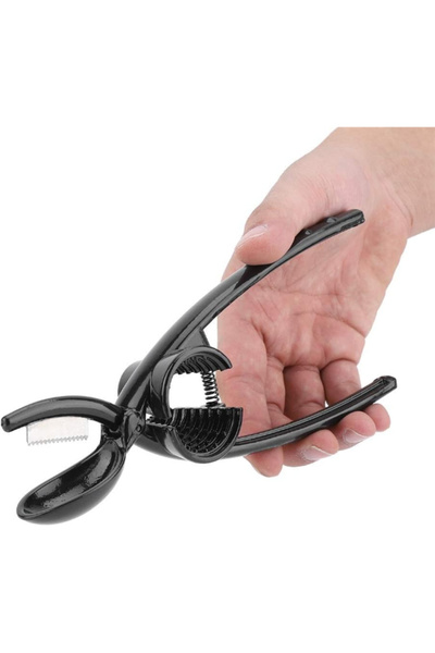 KTT 2-in-1 Chestnut Opener and Walnut Cracker Stylishly Designed Functional Product